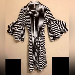 True Destiny Striped Button Front Dress With Belt